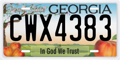 GA license plate CWX4383