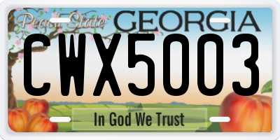 GA license plate CWX5003