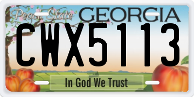 GA license plate CWX5113