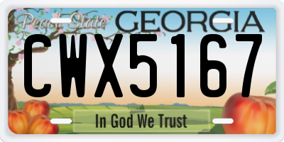 GA license plate CWX5167