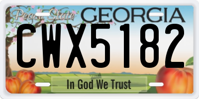 GA license plate CWX5182