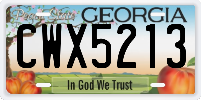 GA license plate CWX5213