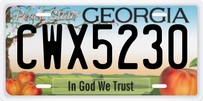 GA license plate CWX5230