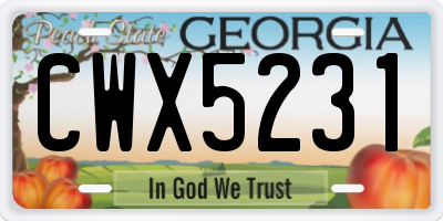 GA license plate CWX5231