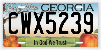 GA license plate CWX5239