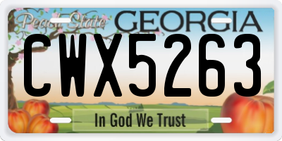 GA license plate CWX5263