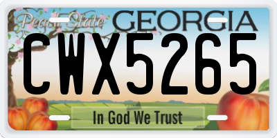 GA license plate CWX5265