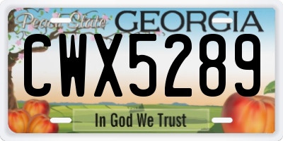 GA license plate CWX5289