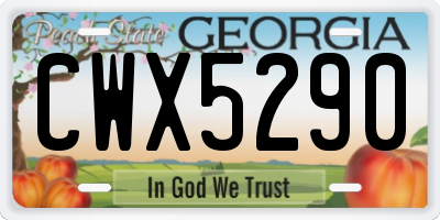 GA license plate CWX5290
