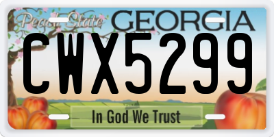 GA license plate CWX5299
