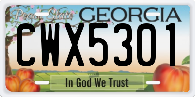 GA license plate CWX5301