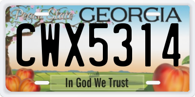 GA license plate CWX5314