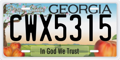 GA license plate CWX5315