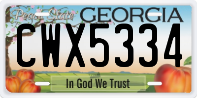 GA license plate CWX5334