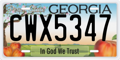 GA license plate CWX5347