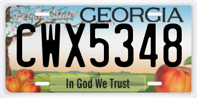 GA license plate CWX5348