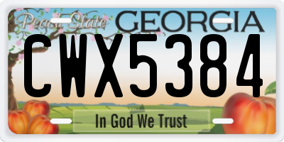 GA license plate CWX5384
