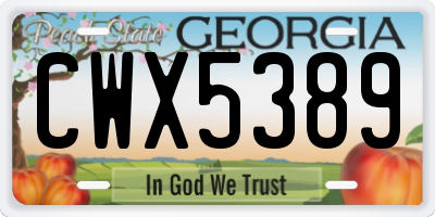 GA license plate CWX5389