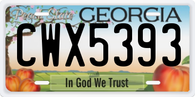 GA license plate CWX5393