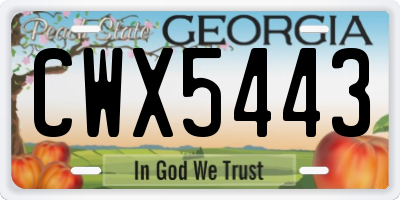 GA license plate CWX5443