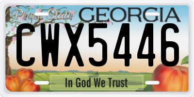 GA license plate CWX5446