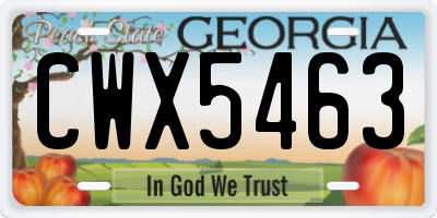 GA license plate CWX5463