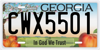 GA license plate CWX5501