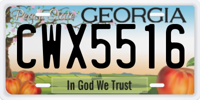 GA license plate CWX5516