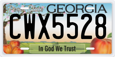 GA license plate CWX5528