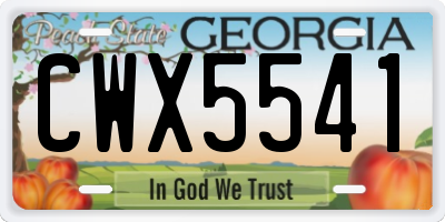 GA license plate CWX5541