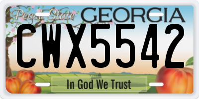GA license plate CWX5542