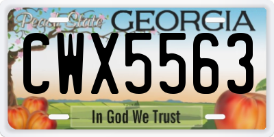 GA license plate CWX5563