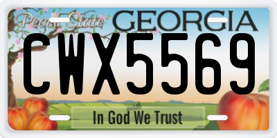 GA license plate CWX5569