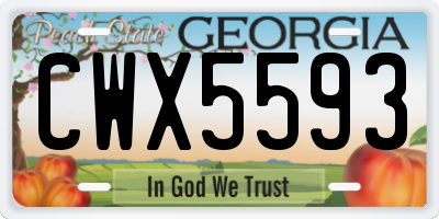 GA license plate CWX5593