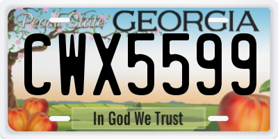 GA license plate CWX5599