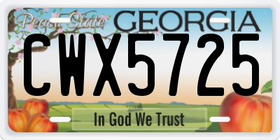 GA license plate CWX5725
