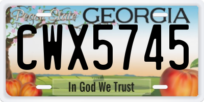 GA license plate CWX5745
