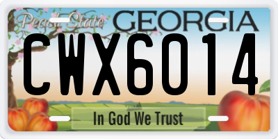 GA license plate CWX6014