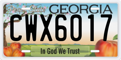 GA license plate CWX6017