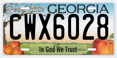 GA license plate CWX6028