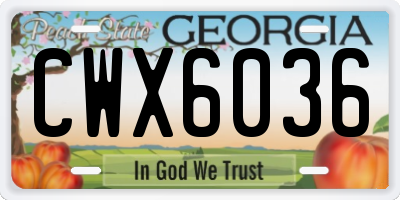 GA license plate CWX6036