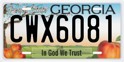 GA license plate CWX6081