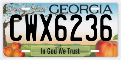 GA license plate CWX6236