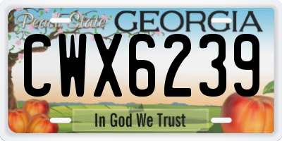 GA license plate CWX6239