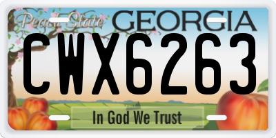 GA license plate CWX6263