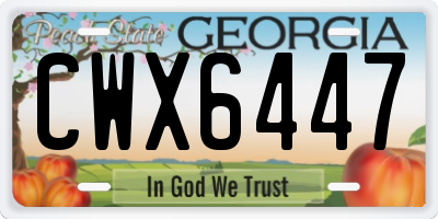 GA license plate CWX6447