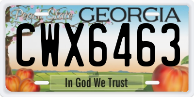 GA license plate CWX6463