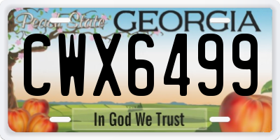 GA license plate CWX6499