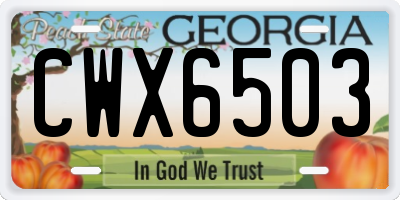 GA license plate CWX6503