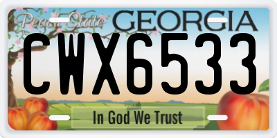 GA license plate CWX6533